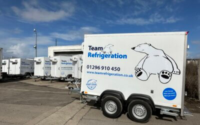 Stay Cool This Summer: Your Guide to Refrigerated Container Hire