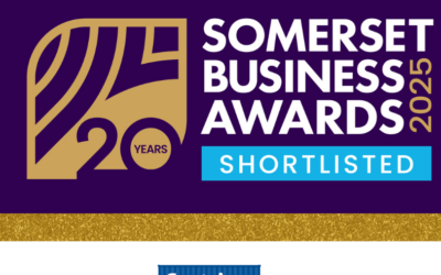 Somerset Business Awards